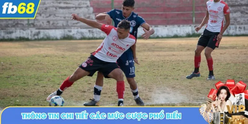 Thông tin chi tiết các mức cược phổ biến