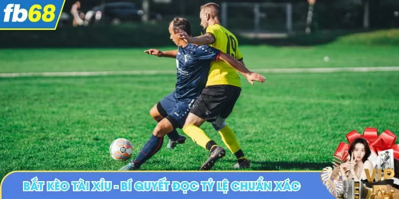 Bắt kèo tài xỉu