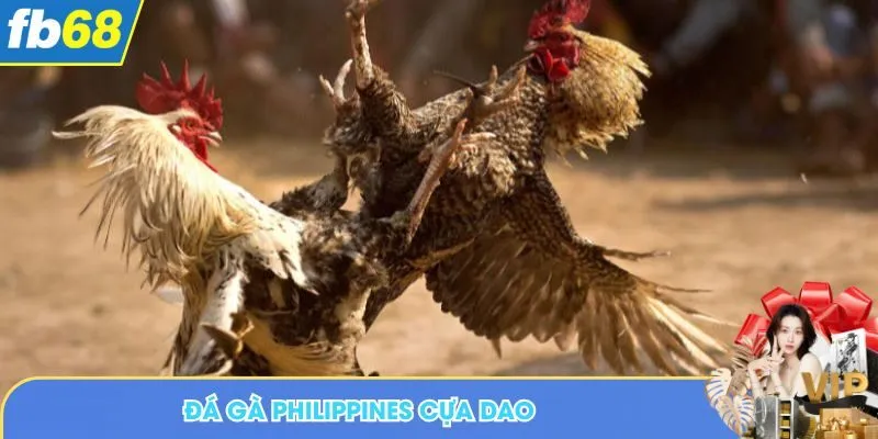 đá gà Philippines